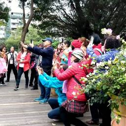 周政敏 講師