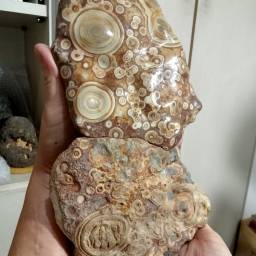 課程圖片 2